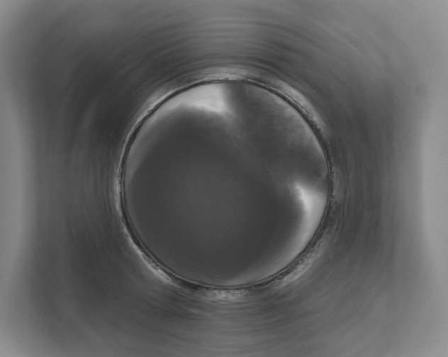 X0000111180802200907291142