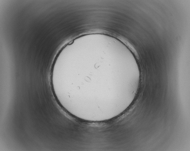 X0000111180805200907291142