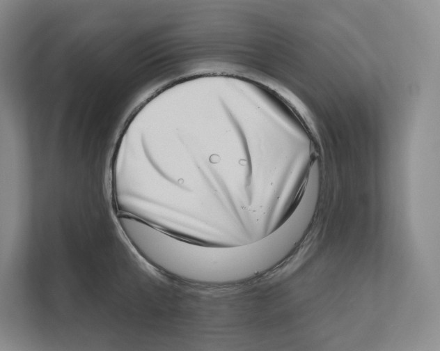 X0000111180807200907291142