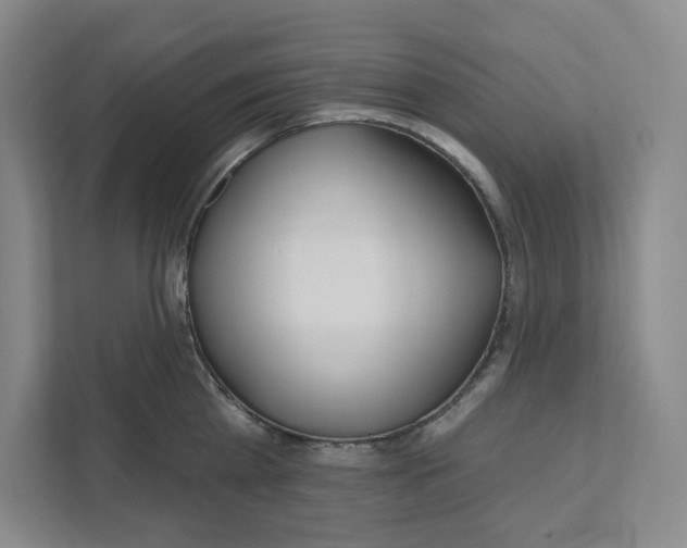 X0000111180809200907291142