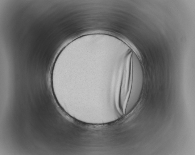 X0000111180813200907291142