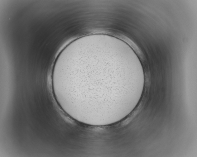 X0000111180814200907291142