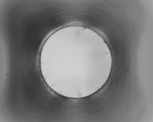 X0000111180816200907291142