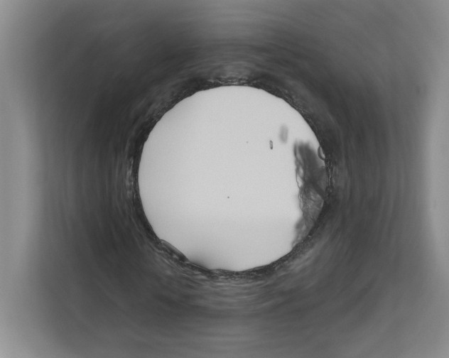 X0000111180818200907291141