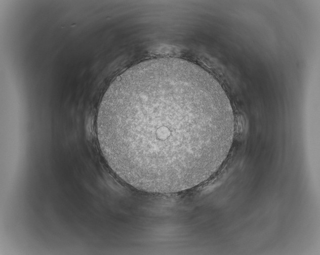 X0000111180820200907291141