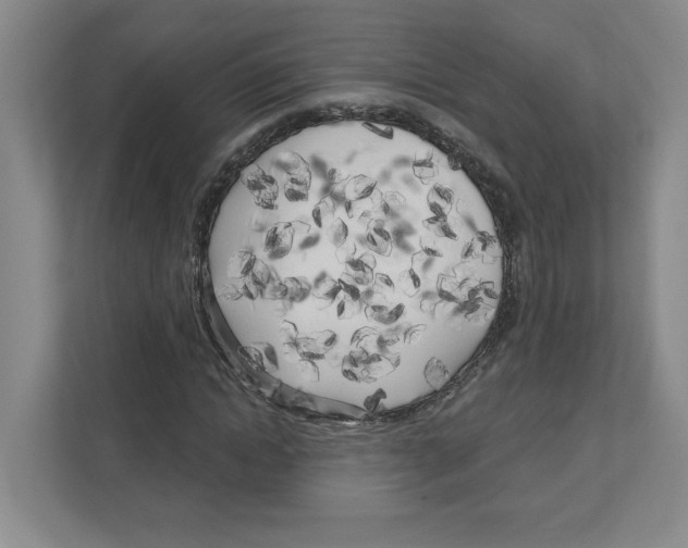 X0000111180822200907291141