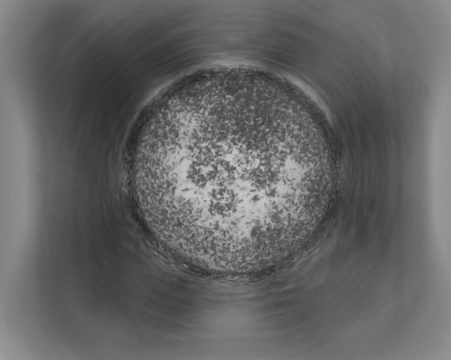 X0000111180823200907291141