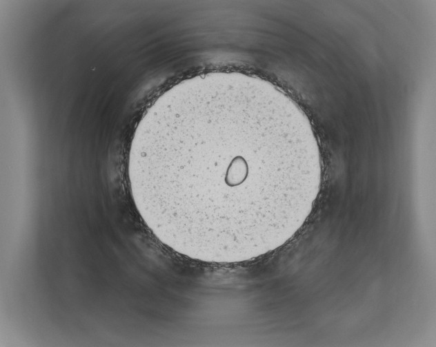 X0000111180824200907291141