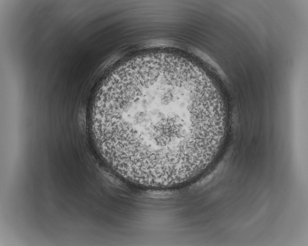 X0000111180825200907291141