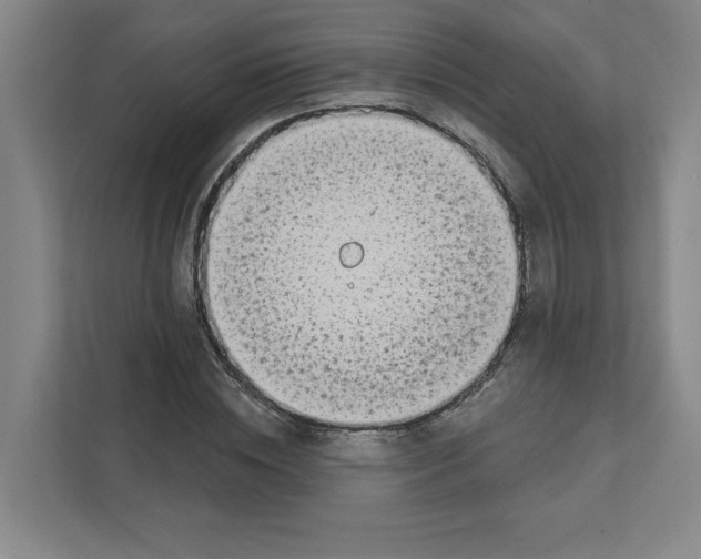 X0000111180828200907291141