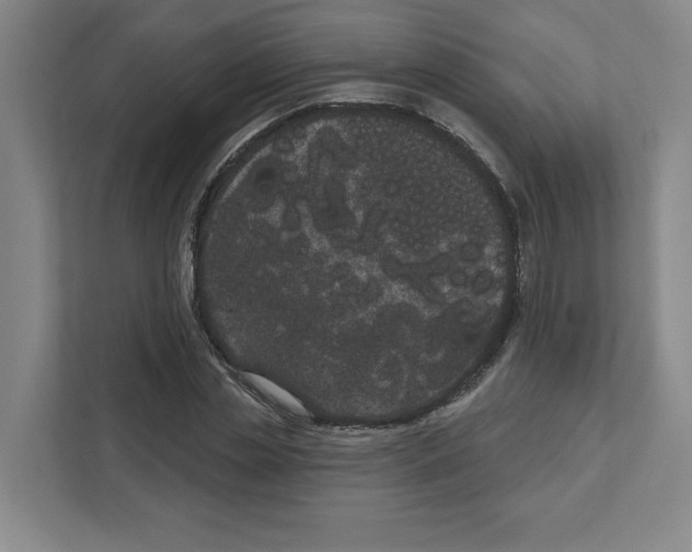 X0000111180829200907291141