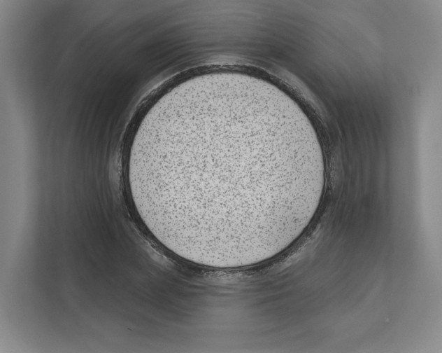 X0000111180831200907291141