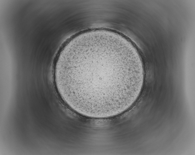 X0000111180832200907291141