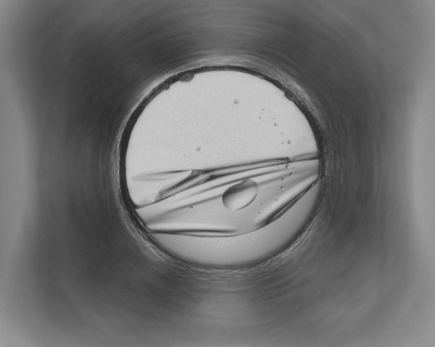 X0000111180836200907291141