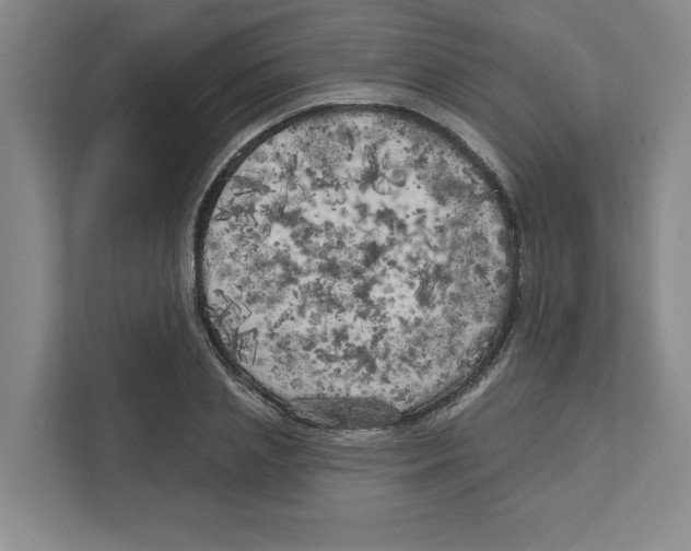 X0000111180837200907291142