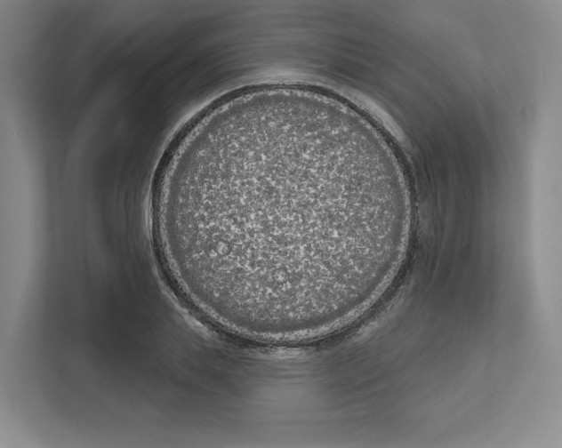 X0000111180839200907291142