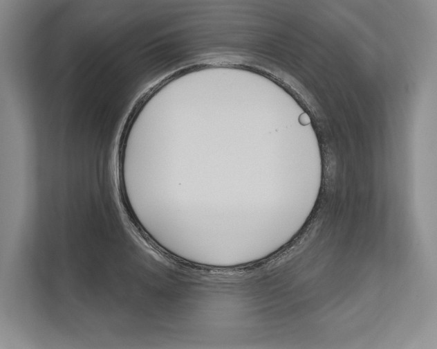 X0000111180840200907291142