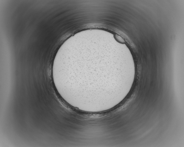 X0000111180841200907291142