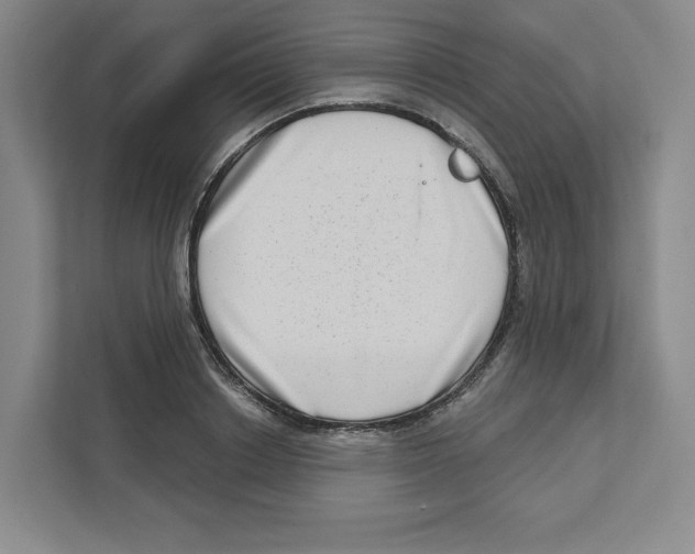 X0000111180842200907291142