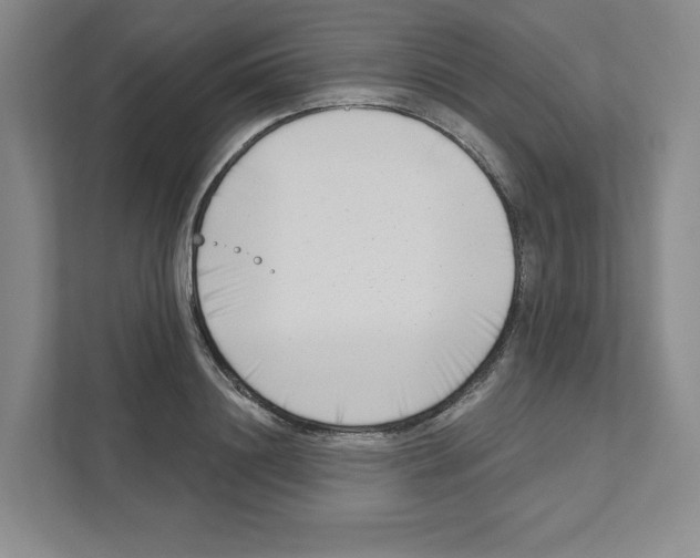 X0000111180844200907291142