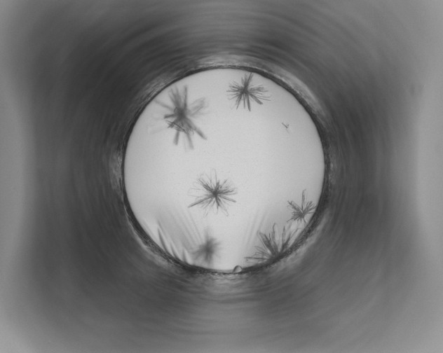 X0000111180849200907291142