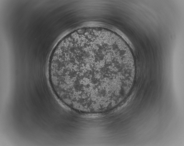 X0000111180853200907291142