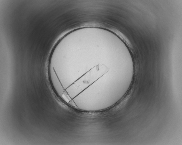 X0000111180854200907291142