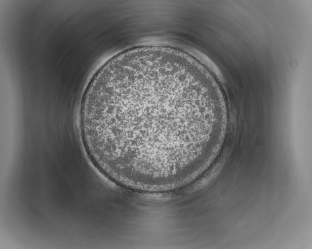 X0000111180855200907291142