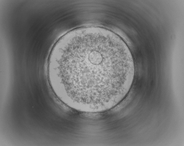 X0000111180856200907291142