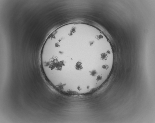 X0000111180858200907291142