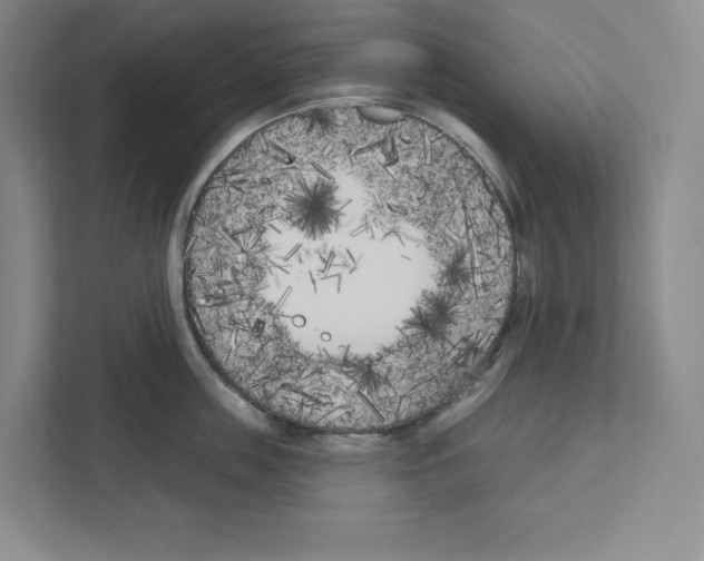 X0000111180859200907291142