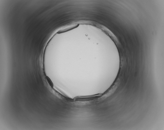 X0000111180860200907291142