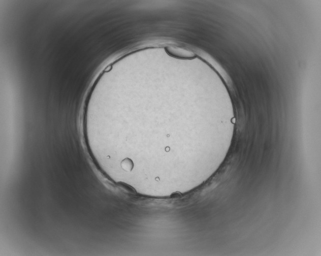 X0000111180861200907291142