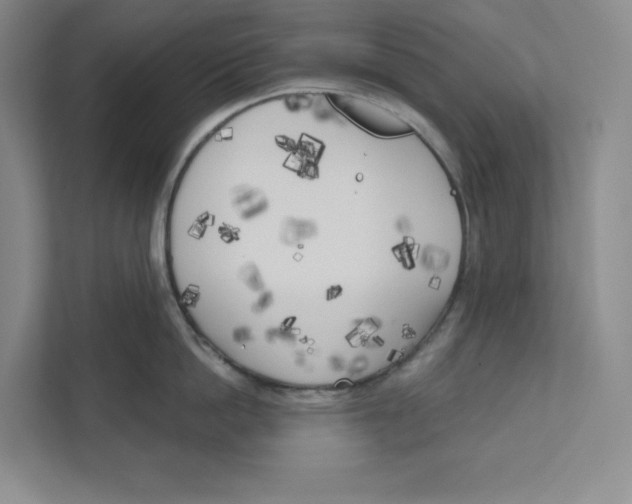 X0000111180862200907291142