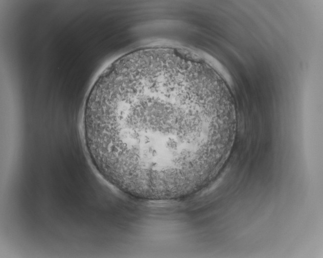 X0000111180863200907291142