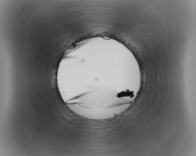 X0000111180868200907291141