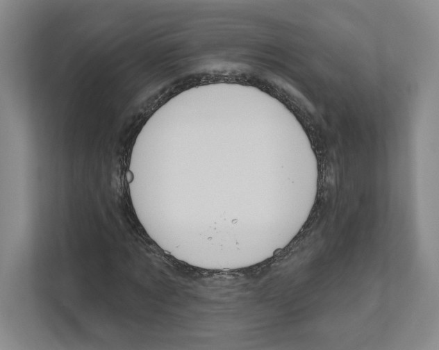 X0000111180869200907291141