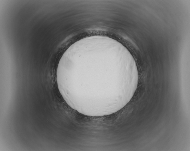 X0000111180870200907291141