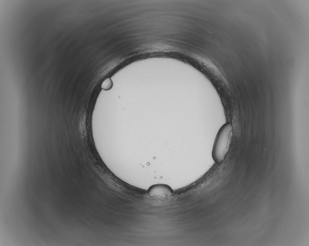 X0000111180873200907291141