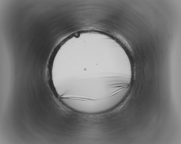 X0000111180876200907291141