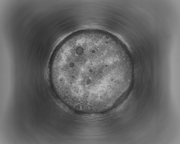 X0000111180879200907291141