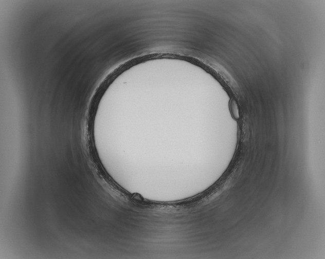 X0000111180880200907291141