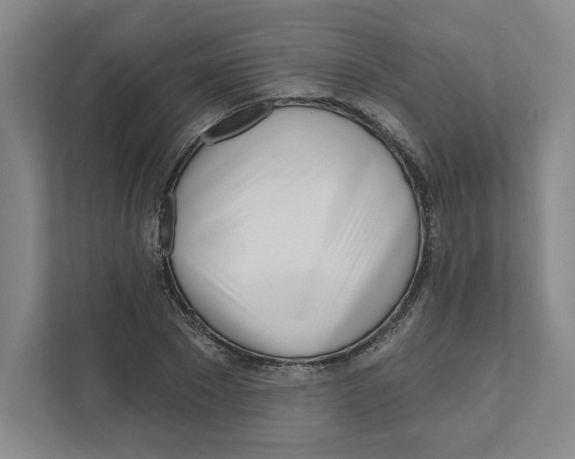 X0000111180881200907291141