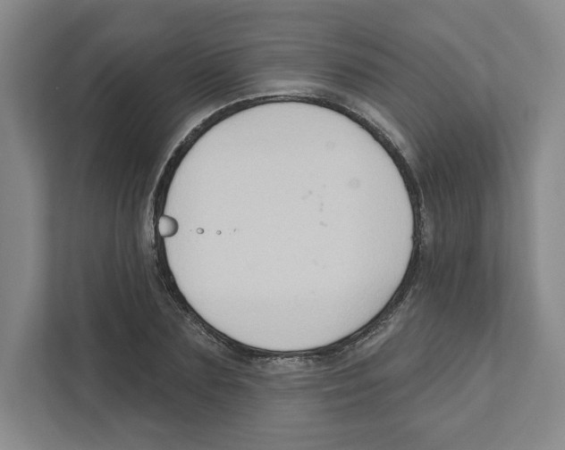 X0000111180883200907291141