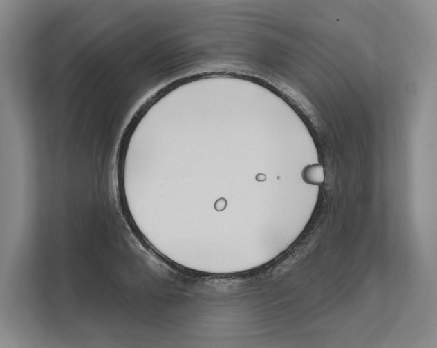 X0000111180888200907291141