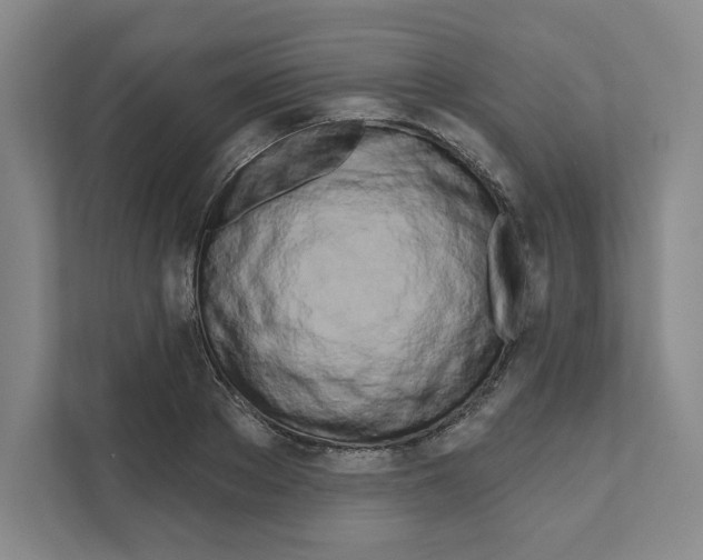 X0000111180889200907291141