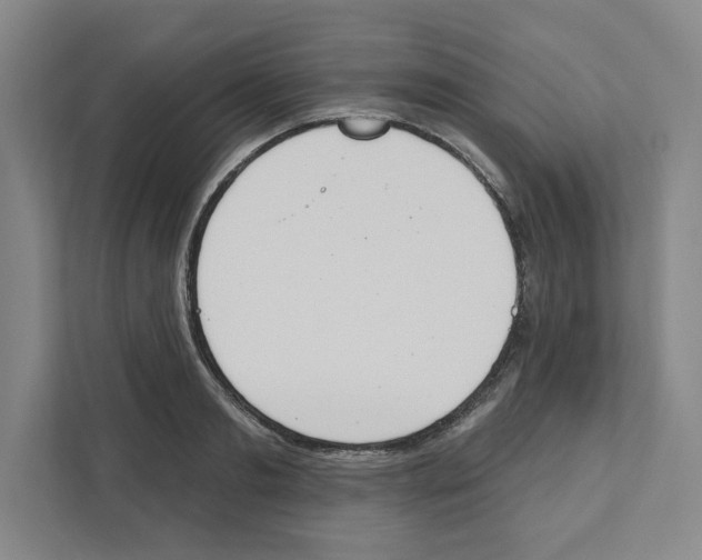 X0000111180893200907291141