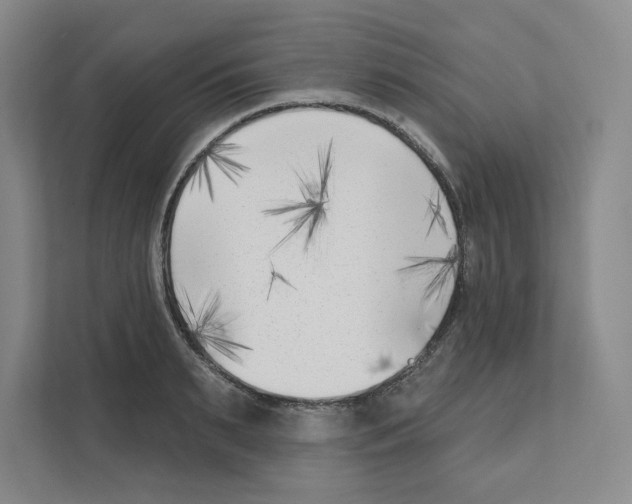 X0000111180895200907291141