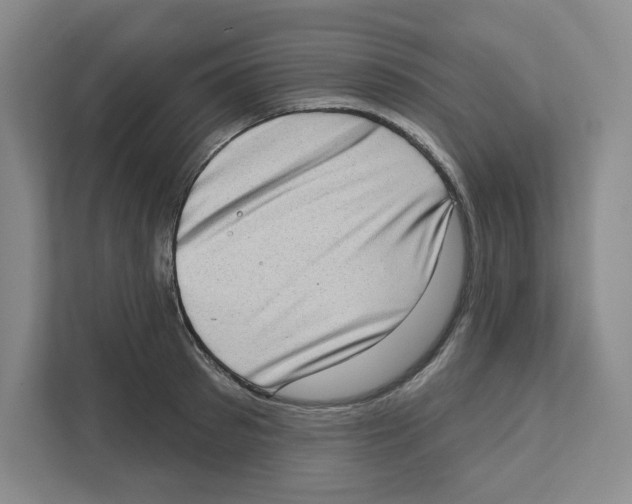 X0000111180897200907291141