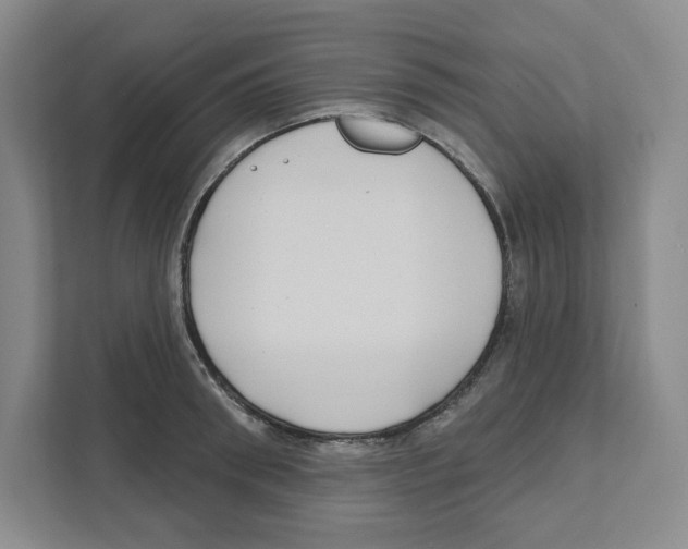 X0000111180898200907291141